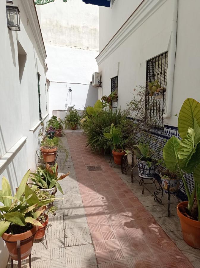Carmona&House — Photos 2