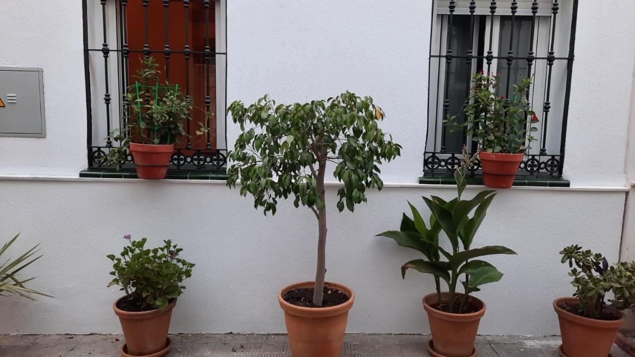 Carmona&House, Seville